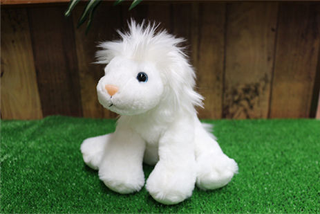 white-lions
